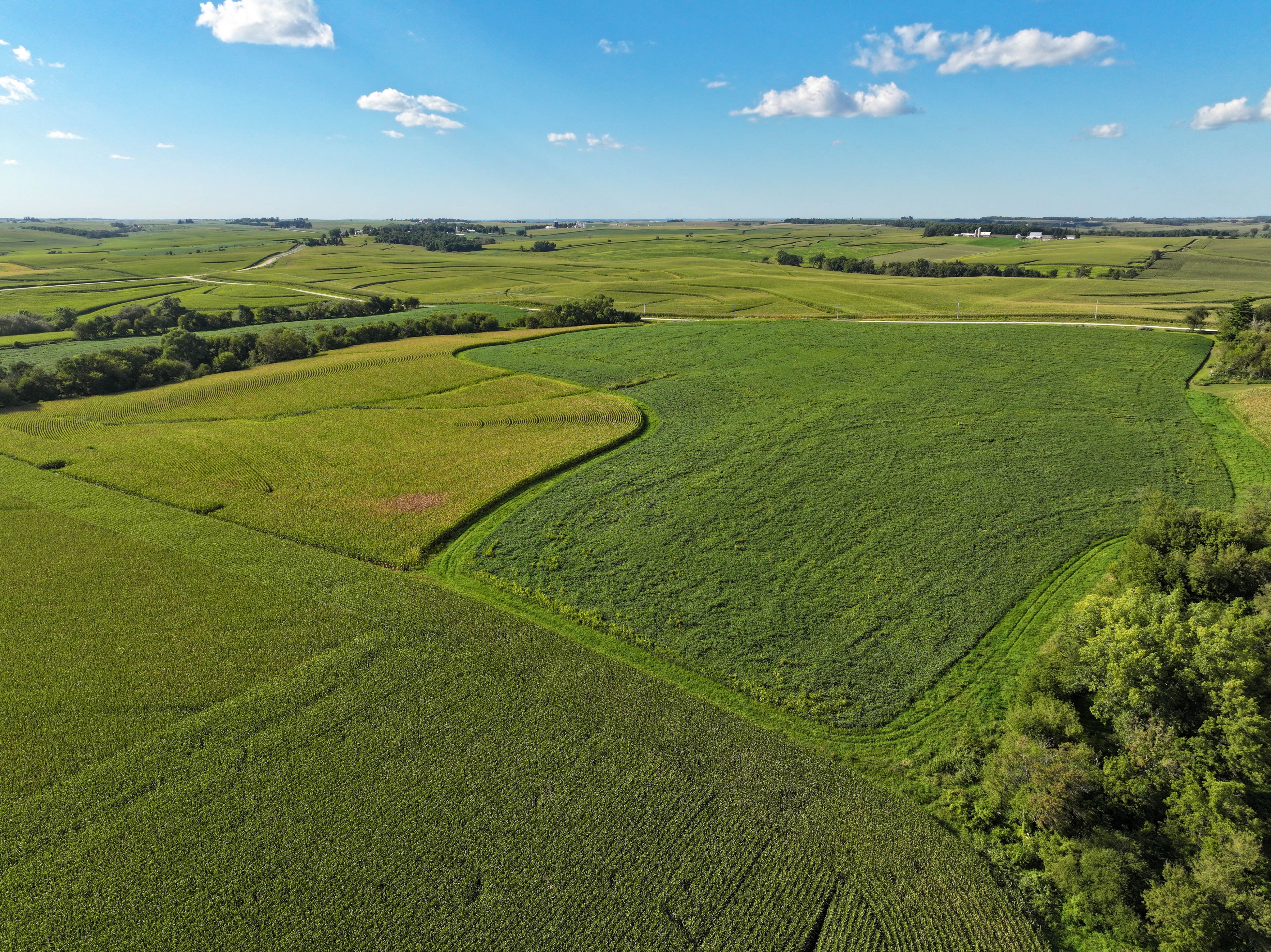 Listing Photo: 7-Allamakee County Iowa Farmland Auction